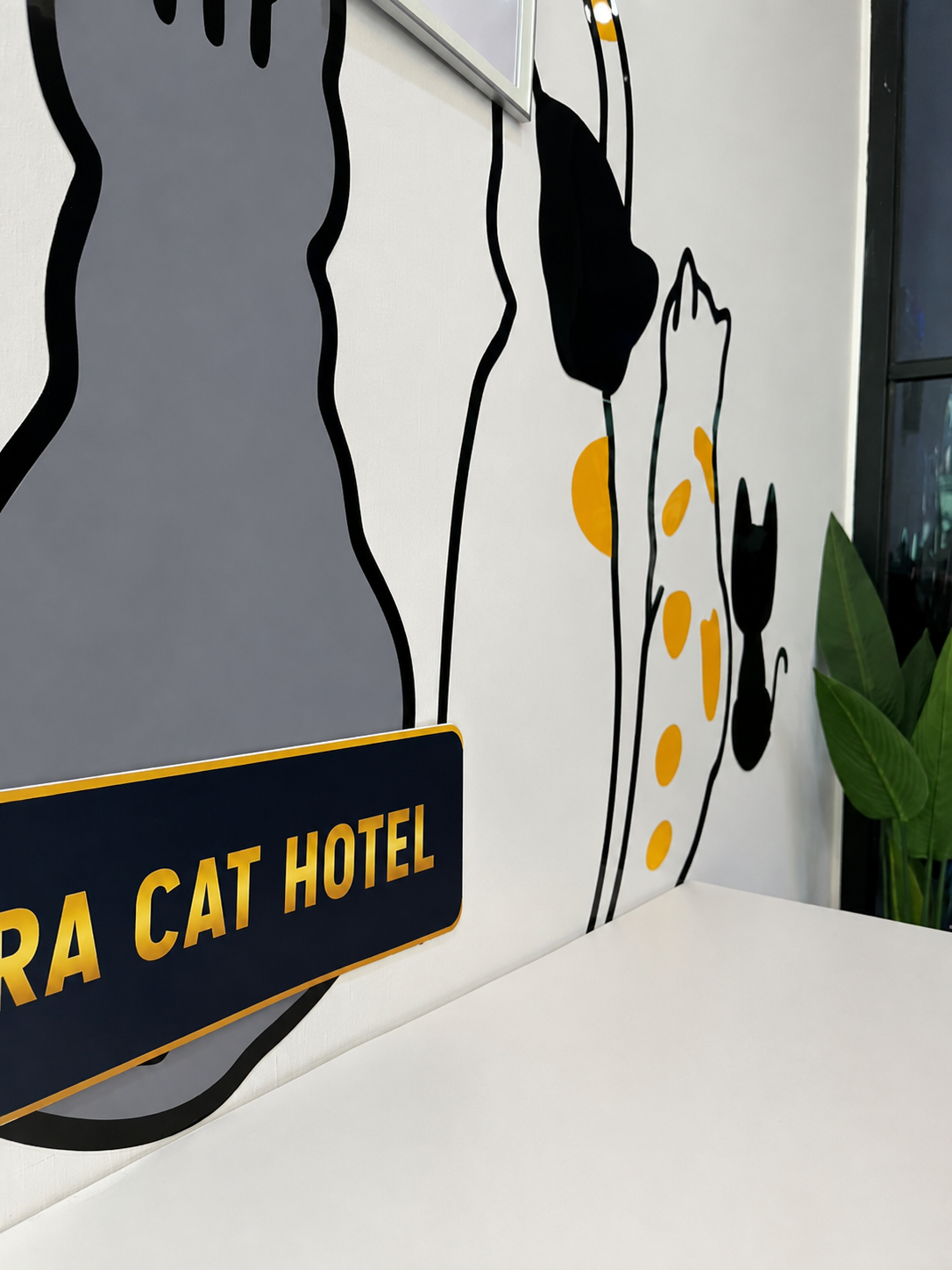 Grey Cat